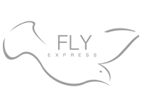 Fly Express